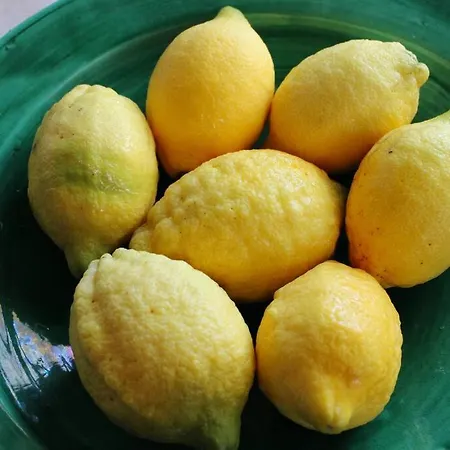 فيلة Thimari Andros *