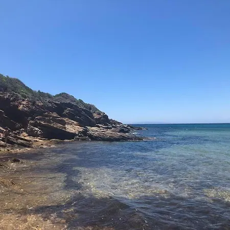 Thimari Andros *
